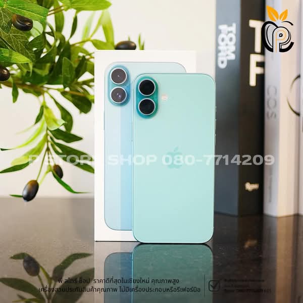 iPhone 16 Plus 256GB - สี Teal มือ2 P Store Chiang Mai
