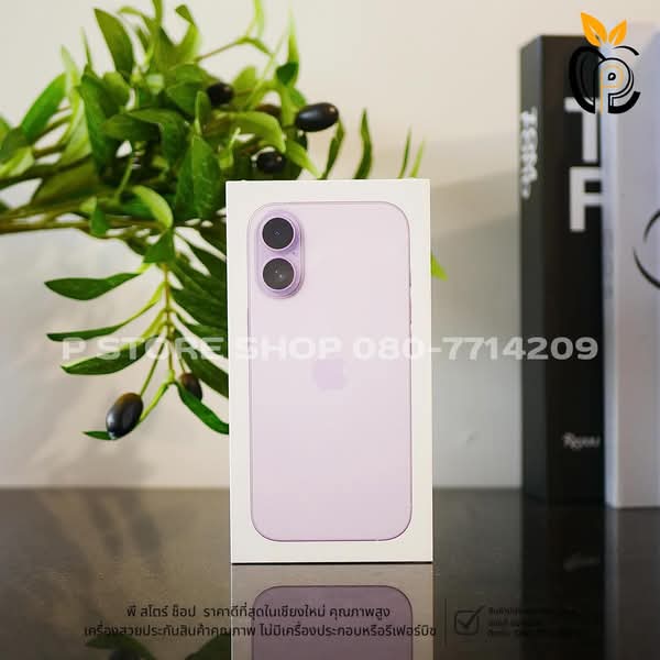 iPhone 17 256GB - สี Lavender มือ1 P Store Chiang Mai