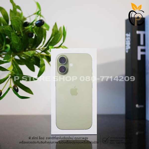 iPhone 17 256GB - สี Sage มือ1 P Store Chiang Mai