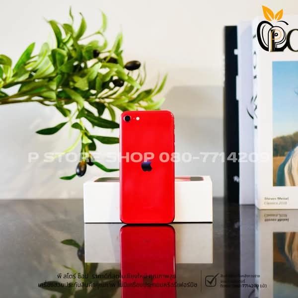 iPhone SE (2nd Gen) 128GB - สี Red มือ2 P Store Chiang Mai