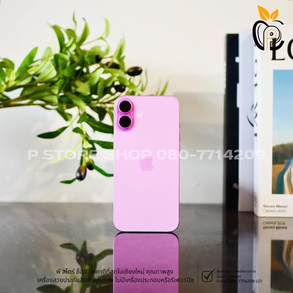 iPhone 16 Plus 128GB - สี Pink มือ2 P Store Chiang Mai