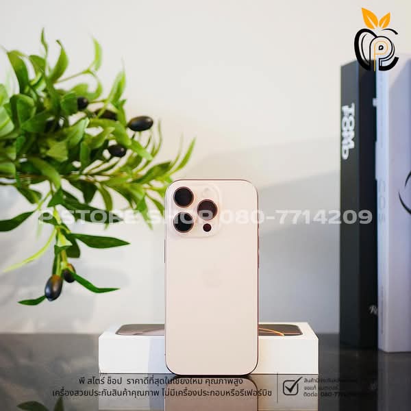 iPhone 16 Pro 128GB - สี Desert Titanium มือ2 P Store Chiang Mai